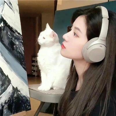 猫和老鼠·真人版